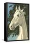 Paint by Numbers, Horse Portrait Number One-null-Framed Stretched Canvas