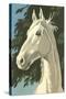 Paint by Numbers, Horse Portrait Number One-null-Stretched Canvas