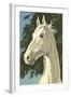 Paint by Numbers, Horse Portrait Number One-null-Framed Art Print