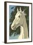 Paint by Numbers, Horse Portrait Number One-null-Framed Art Print