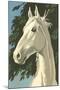 Paint by Numbers, Horse Portrait Number One-null-Mounted Art Print