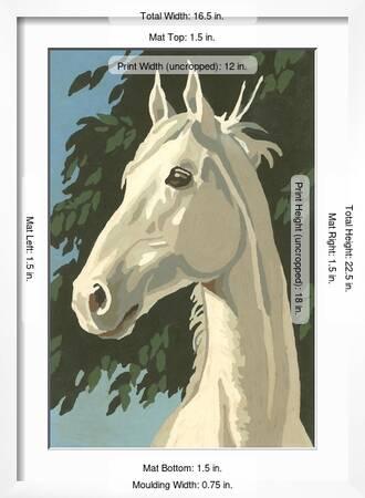 paint by numbers horse portrait number one posters allposters com