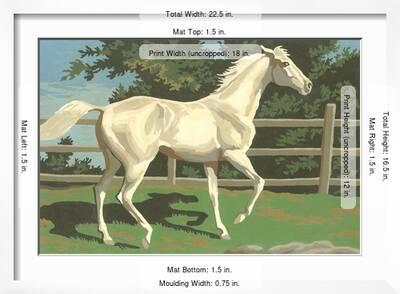 paint by numbers horse scene number two print allposters com