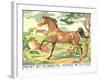 Paint by Numbers, Horse with Dog-Found Image Press-Framed Giclee Print