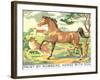 Paint by Numbers, Horse with Dog-Found Image Press-Framed Giclee Print