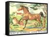 Paint by Numbers, Horse with Dog-Found Image Press-Framed Stretched Canvas