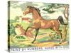 Paint by Numbers, Horse with Dog-Found Image Press-Stretched Canvas