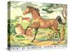 Paint by Numbers, Horse with Dog-Found Image Press-Stretched Canvas