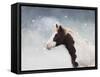 Paint Horse in the Snow-Jai Johnson-Framed Stretched Canvas