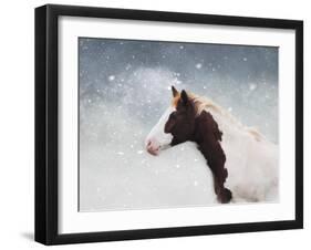 Paint Horse in the Snow-Jai Johnson-Framed Giclee Print