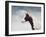 Paint Horse in the Snow-Jai Johnson-Framed Giclee Print