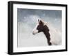 Paint Horse in the Snow-Jai Johnson-Framed Giclee Print