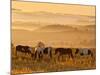 Paint Horses at Black Hills Wild Horse Sanctuary, South Dakota, Usa-Cathy & Gordon Illg-Mounted Photographic Print