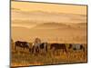 Paint Horses at Black Hills Wild Horse Sanctuary, South Dakota, Usa-Cathy & Gordon Illg-Mounted Photographic Print