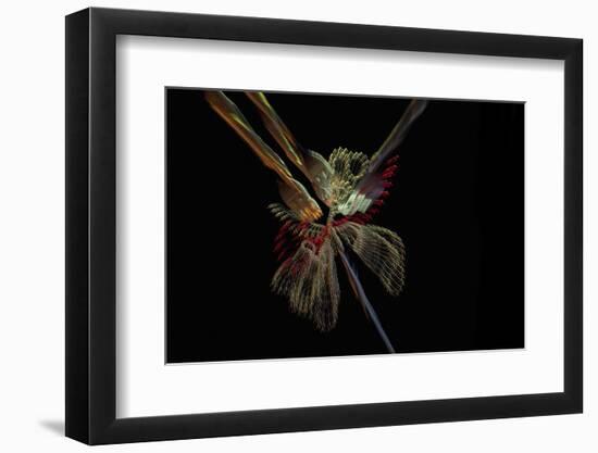 Paint me some light-Heidi Westum-Framed Photographic Print