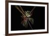 Paint me some light-Heidi Westum-Framed Photographic Print