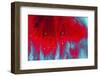 Paint, oil and water-Zandria Muench Beraldo-Framed Photographic Print