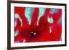 Paint, oil and water-Zandria Muench Beraldo-Framed Photographic Print