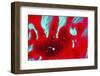 Paint, oil and water-Zandria Muench Beraldo-Framed Photographic Print