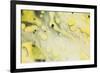 Paint, oil and water-Zandria Muench Beraldo-Framed Photographic Print