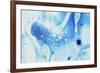 Paint, oil and water-Zandria Muench Beraldo-Framed Photographic Print