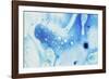 Paint, oil and water-Zandria Muench Beraldo-Framed Photographic Print