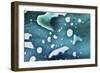 Paint, oil and water-Zandria Muench Beraldo-Framed Photographic Print