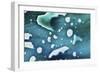 Paint, oil and water-Zandria Muench Beraldo-Framed Photographic Print