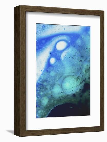 Paint, oil and water-Zandria Muench Beraldo-Framed Photographic Print