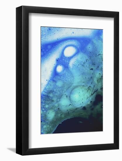 Paint, oil and water-Zandria Muench Beraldo-Framed Photographic Print