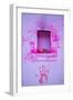 Paint on wall during Holi festival, Rajasthan-Mark MacEwen-Framed Photographic Print