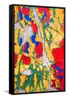 Paint Peeling-Charles Bowman-Framed Stretched Canvas