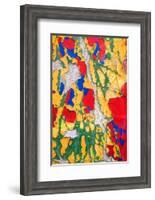 Paint Peeling-Charles Bowman-Framed Photographic Print