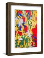 Paint Peeling-Charles Bowman-Framed Photographic Print