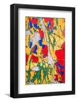 Paint Peeling-Charles Bowman-Framed Photographic Print