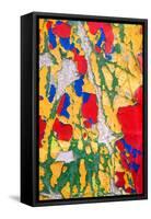 Paint Peeling-Charles Bowman-Framed Stretched Canvas