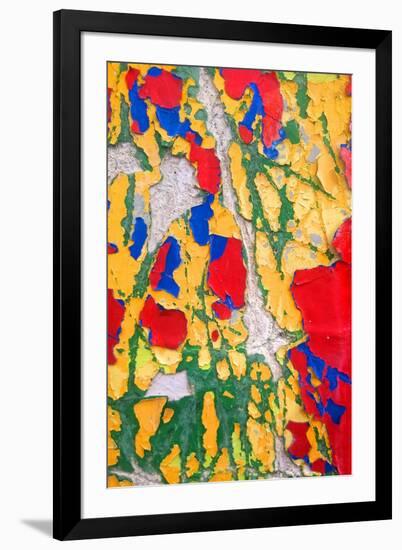 Paint Peeling-Charles Bowman-Framed Photographic Print