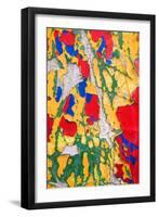 Paint Peeling-Charles Bowman-Framed Photographic Print