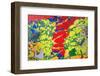 Paint Peeling-Charles Bowman-Framed Photographic Print