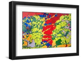 Paint Peeling-Charles Bowman-Framed Photographic Print