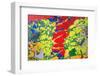 Paint Peeling-Charles Bowman-Framed Photographic Print