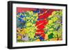 Paint Peeling-Charles Bowman-Framed Photographic Print