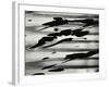 Paint Splatter, Oregon, 1972-Brett Weston-Framed Photographic Print