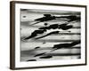 Paint Splatter, Oregon, 1972-Brett Weston-Framed Photographic Print