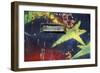 Paint the City-Tony Koukos-Framed Giclee Print