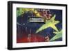 Paint the City-Tony Koukos-Framed Giclee Print