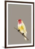 Paintbox Birds - Hope-Kristine Hegre-Framed Giclee Print