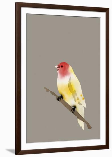 Paintbox Birds - Hope-Kristine Hegre-Framed Giclee Print