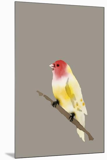 Paintbox Birds - Hope-Kristine Hegre-Mounted Giclee Print