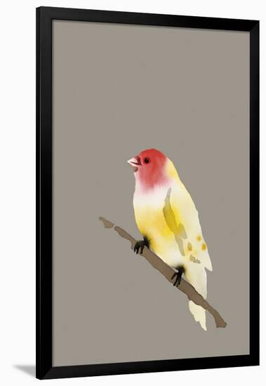 Paintbox Birds - Hope-Kristine Hegre-Framed Giclee Print